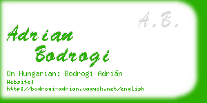 adrian bodrogi business card